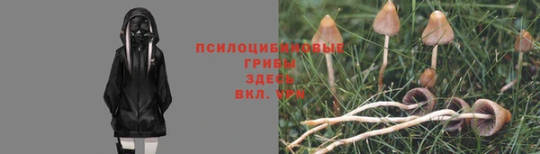 ALPHA-PVP Мегион