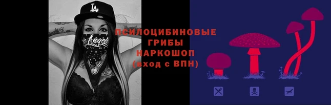 шишки Медногорск