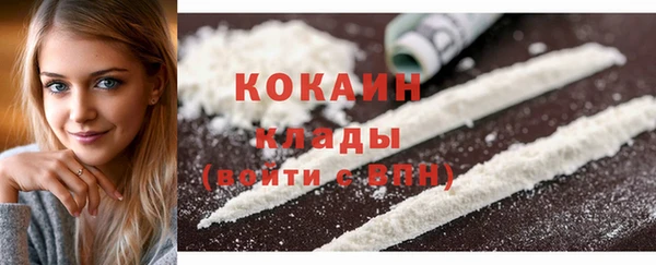стаф Няндома